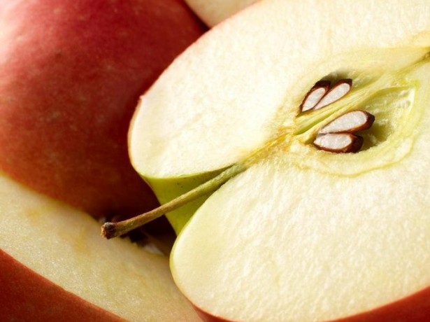 Узнаем, как выращивать яблоню из семечка: все для успешного опыта