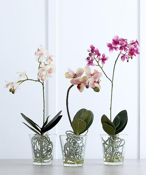 Горшок цветочный для орхидей ø15 h13.5 см v1.4 л пластик прозрачный