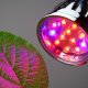 Светодиодный светильник для растений