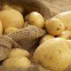 Повышение урожайности картофеля