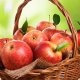 Как правильно хранить яблоки
