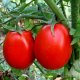 Чем подкормить помидоры