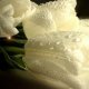 Белые тюльпаны на фото 