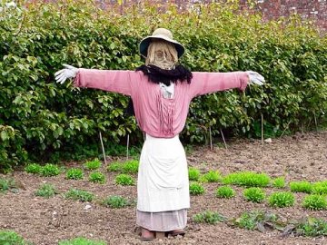 Огородное пугало – кукла из деревянных планок и старой одежды