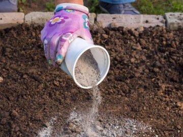 Высокая кислотность почвы – как понизить?