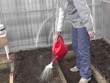 Агротехнический метод обеззараживания почвы