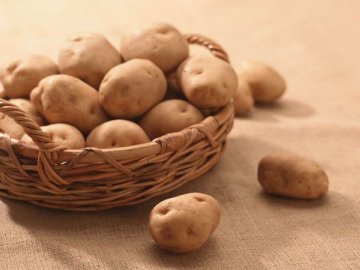 Борьба с вредителями картофеля 