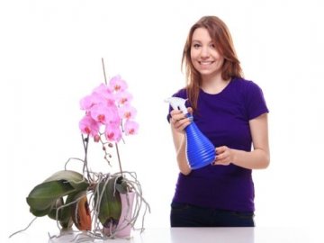 Как правильно ухаживать за орхидеями?