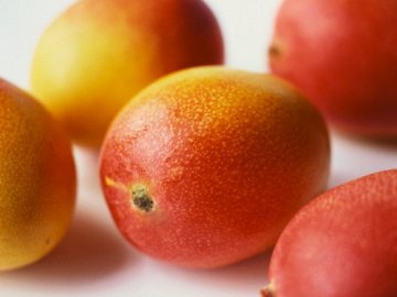 Характеристика манго как фрукта 