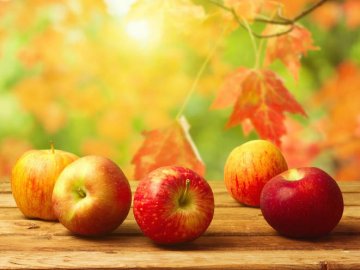 Осенние сладкие сорта яблок