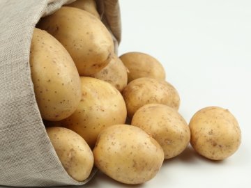 Раннеспелые сорта картофеля