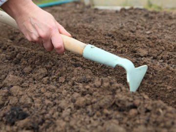 Подготовка почвы, семян и посадка