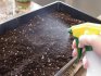 Химический метод обеззараживания почвы