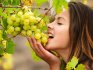 Самые вкусные сорта винограда 