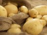 Повышение урожайности картофеля