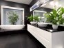 Подбор растений для ванной комнаты без окон