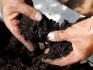 Биологический метод обеззараживания почвы