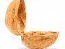 Состав и свойства скорлупы грецкого ореха