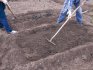 Подготовка участка и почвы