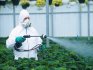 Пестициды: описание химического препарата