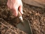 Подготовка почвы и посадочного материала к посадке