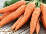 Среднеспелые сорта моркови