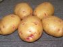 Позднеспелые сорта картофеля