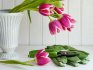 как хранить срезанные тюльпаны