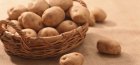 Борьба с вредителями картофеля 