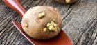 Методы посадки картофеля