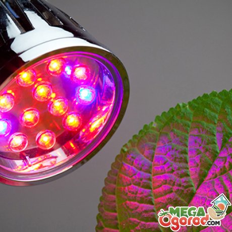 Фито лампы – специально разработанные для растений