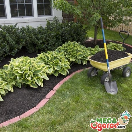 Как сделать бордюры для клумб и украсить свой сад самостоятельно?