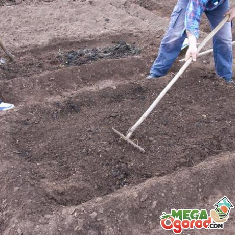 Подготовка участка и почвы