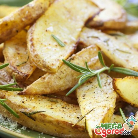 Можно ли жарить зеленый картофель?
